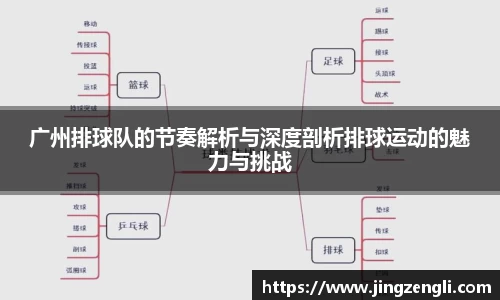 广州排球队的节奏解析与深度剖析排球运动的魅力与挑战